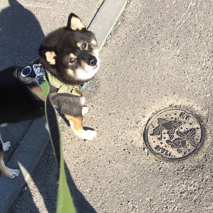 F00b18d6 a8b2 4b5d 94ba 3b435a6e8243