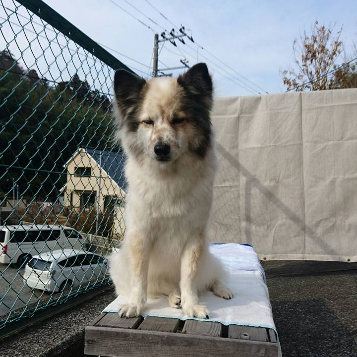 F00b7bc2 5c04 4220 b91c ef25dd6b3935