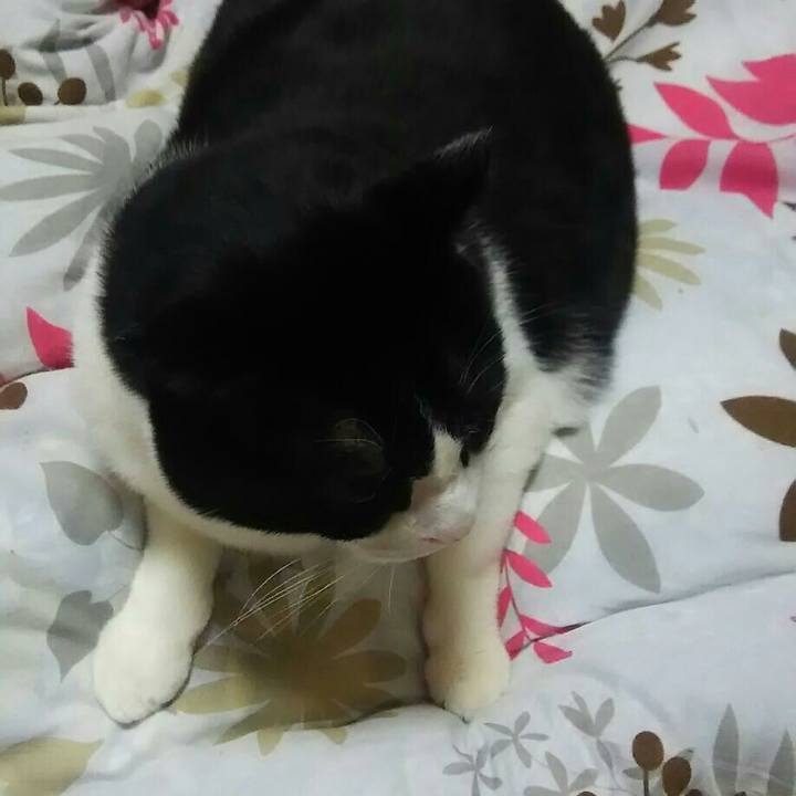 F00c4d09 3732 4c01 b3b0 92b159dc0b79