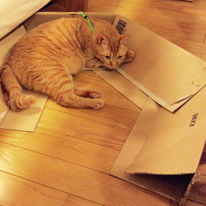 F00c74b2 7173 406f a4a8 9449d1fe7a81