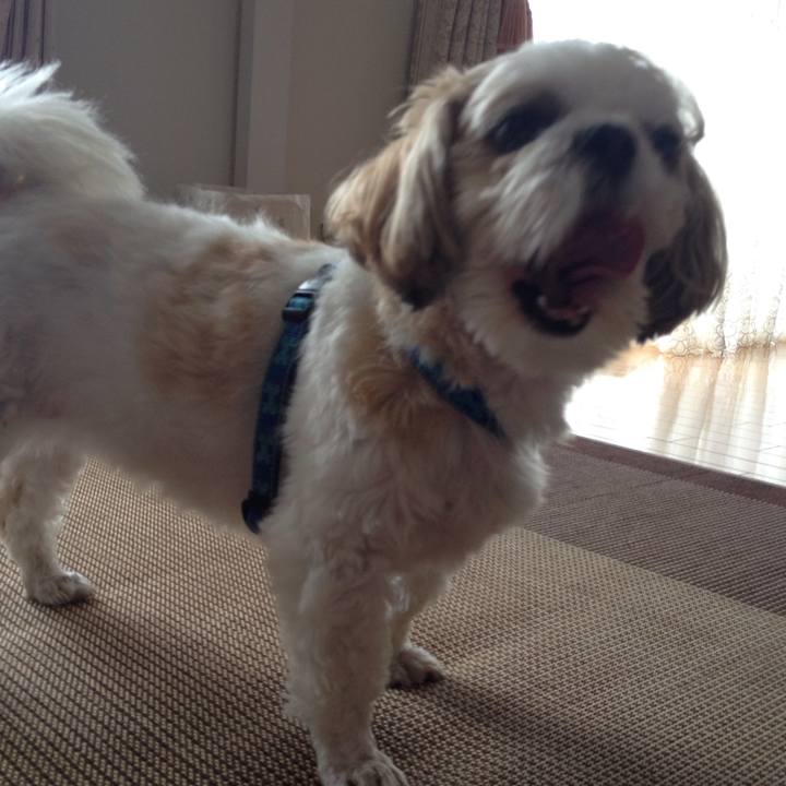 F00c8d92 eb7b 45ca bc4f e4bd36056564