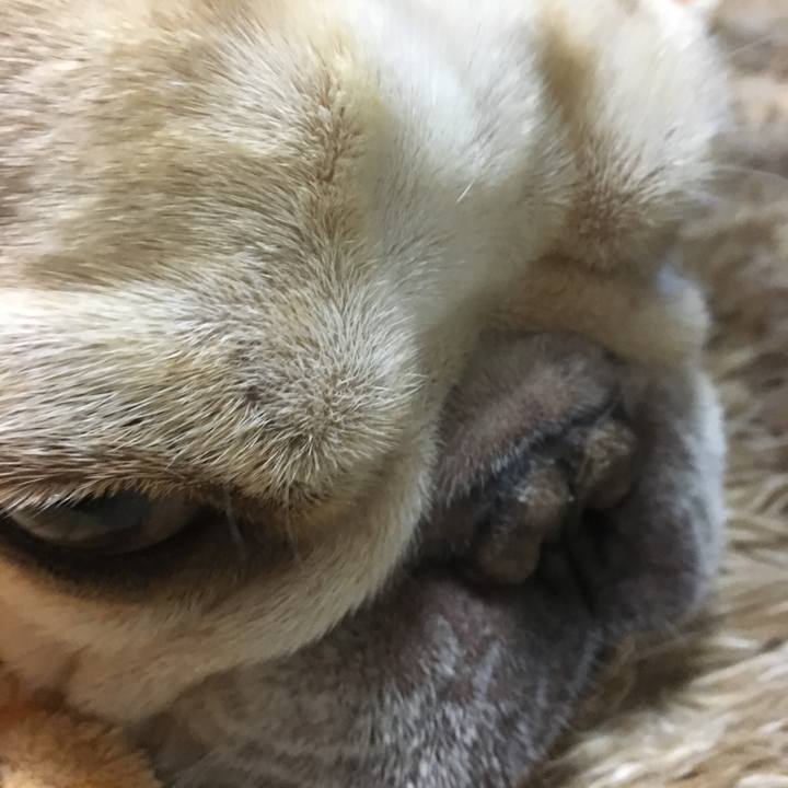 F00caa5c 9247 4439 ab28 91eb306cddd4