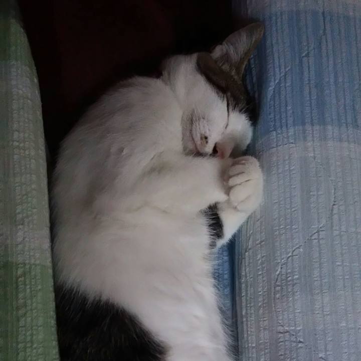 F00cad07 2a70 4820 9617 d7b12aea3210