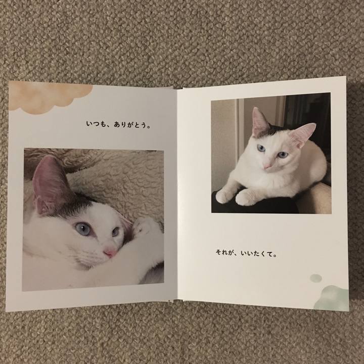 F00d47a8 1f19 4653 9baa 0ed9b6da3ef1