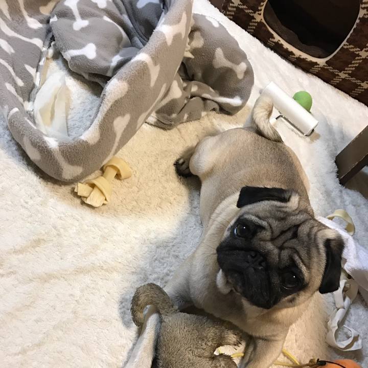 F00d5678 c718 48e5 a28d 14aab99c2210