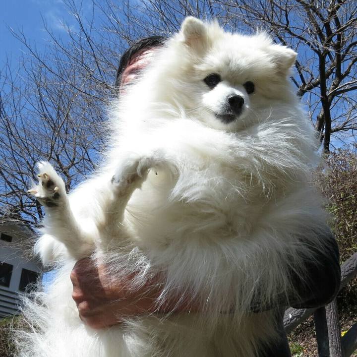 F00d6880 f65a 4b5c a97e 2c7dc80accd2