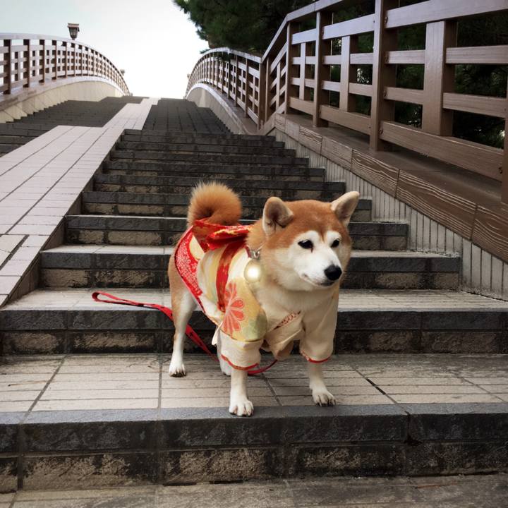 F00d9952 297e 42e6 b20c 879adf78128e