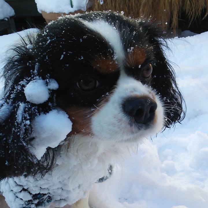 F00e86d8 1e37 4a0f 9ce2 d231f4bdf04c