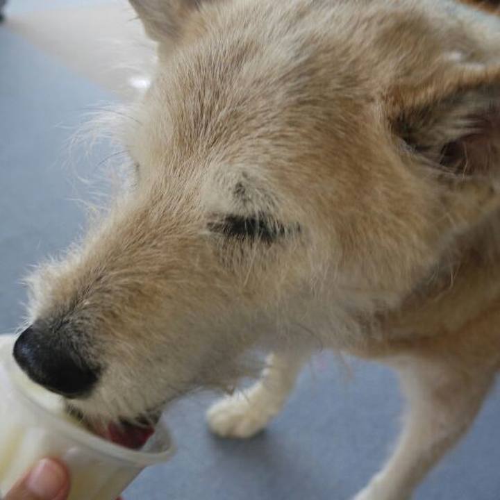 F00fe882 7581 4655 826e c2ecc6c93893