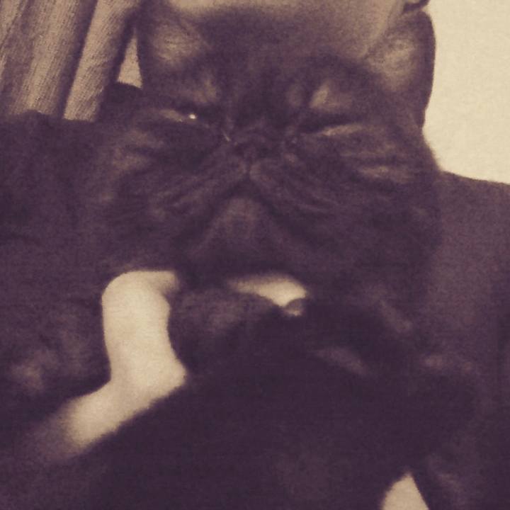 F0100d78 e039 4e40 a11c 0082f6991c94