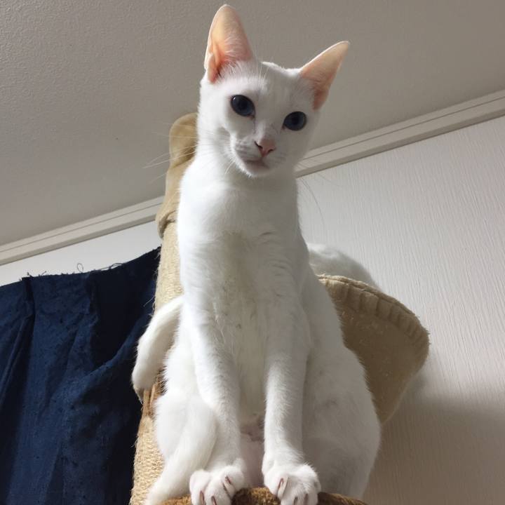 F0109438 0ffc 489b 84ea ef723d56d558