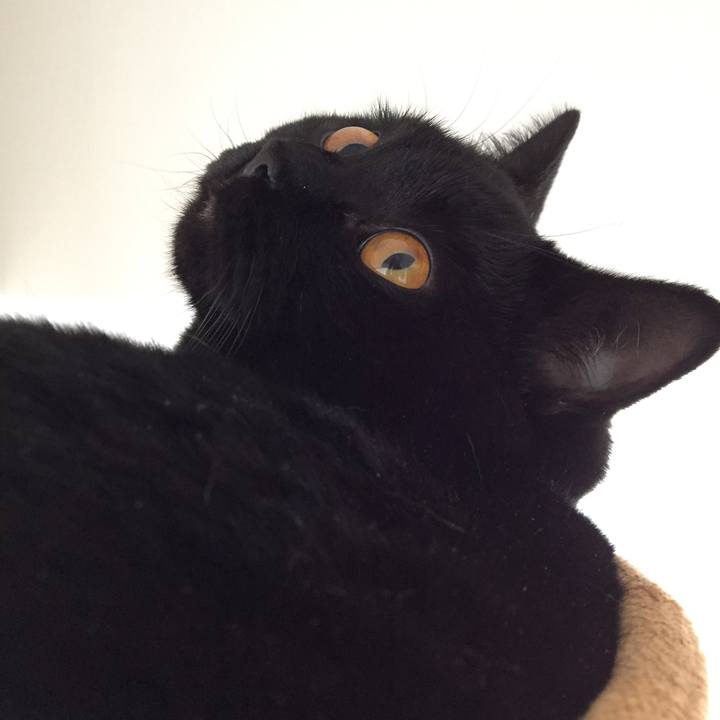 F01101a0 8fac 41ef 820a 9e120a0aede6