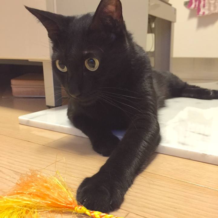 F0114b7d c14f 4e51 aef7 4b7c2b4e0469