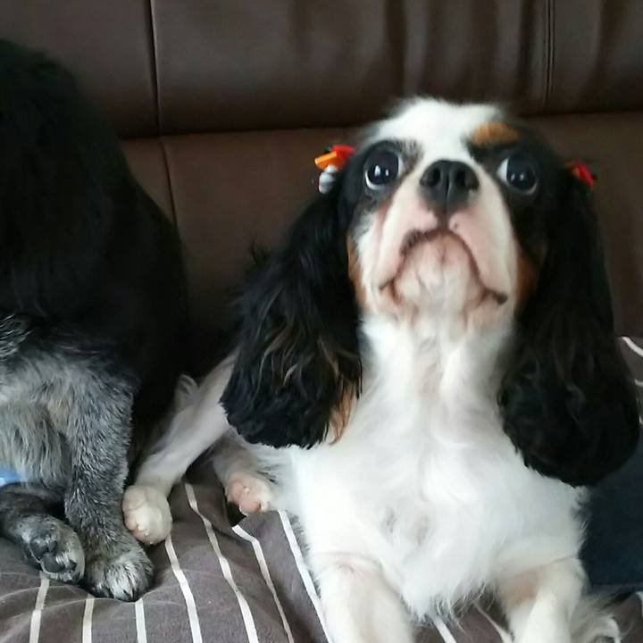 F0120200 6dff 4f22 9393 aa8c16395cbf