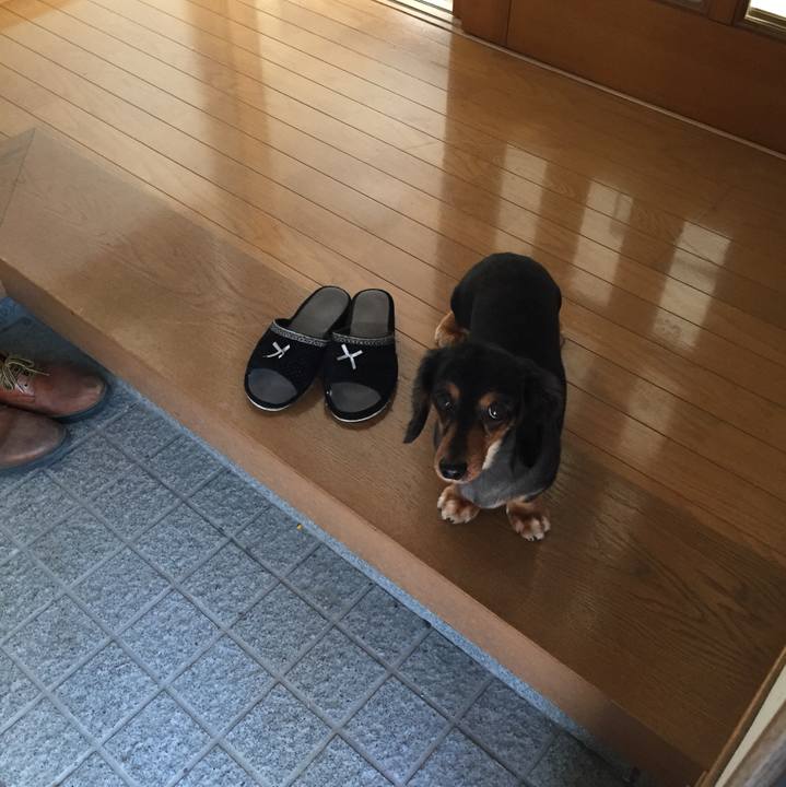 F012745b 2384 4c5d 9ea1 b2370c8bd39d