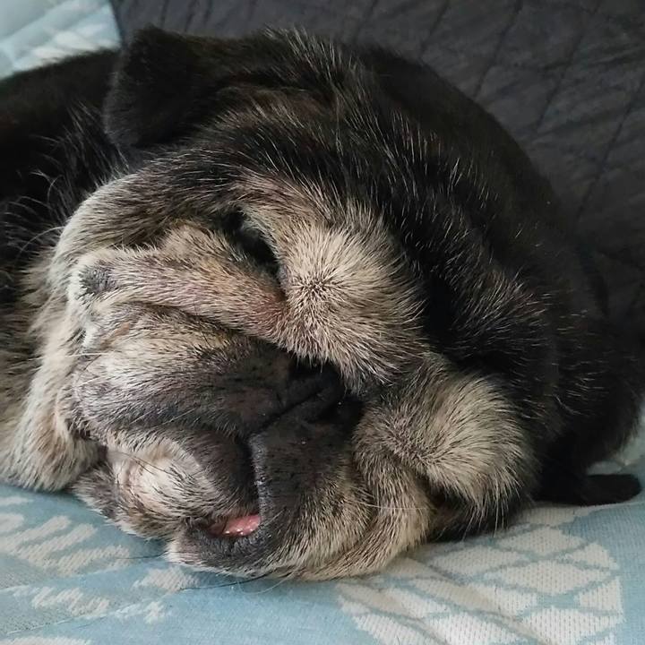 F0133717 aa86 4bc6 a4b3 92304aaf47cf