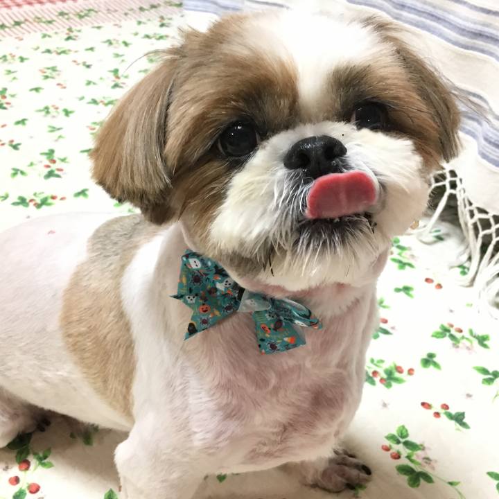 F01389c9 e2f1 4584 968d 4ecad6423020