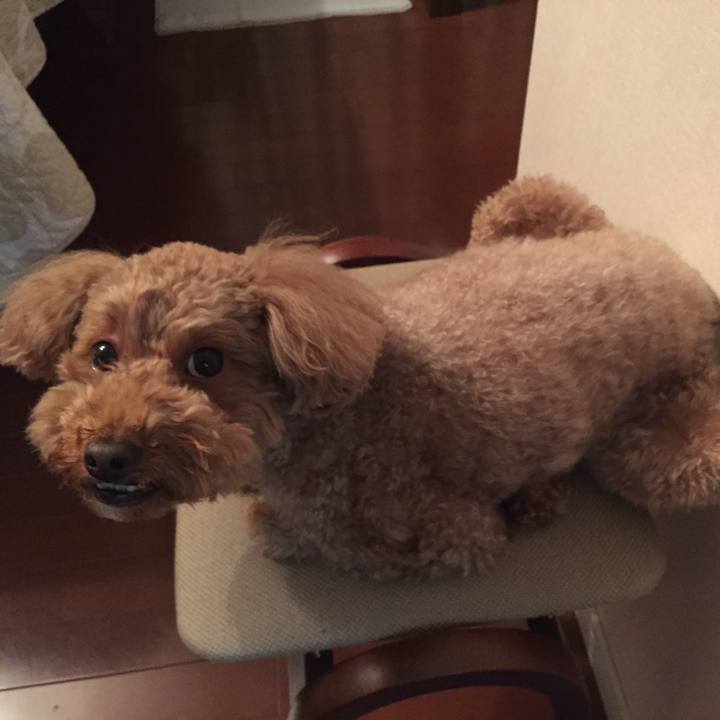 F01402a5 5007 4513 8e37 c7a796fb0371