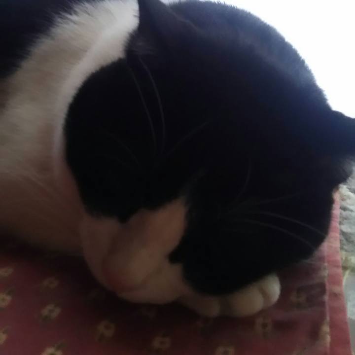 F0143fdf a730 4a33 9896 503ac9a4003d