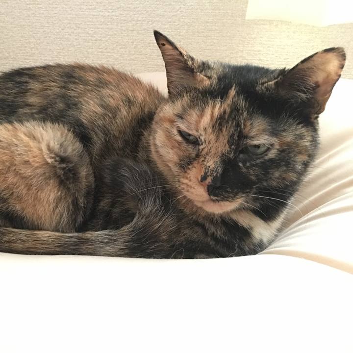 F0144715 ded0 4b63 b026 b1117f480194