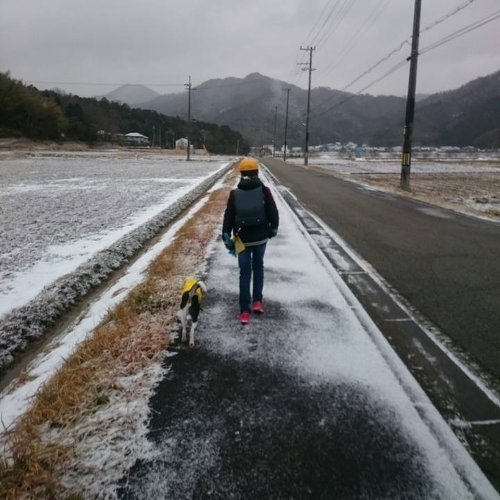 F014ab6c a924 4226 8697 a6b71c7e662f