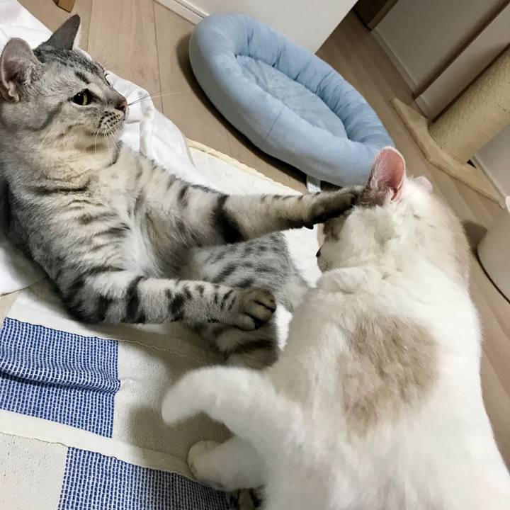 F01568b9 5c54 4162 8115 416c6b4c6d9f