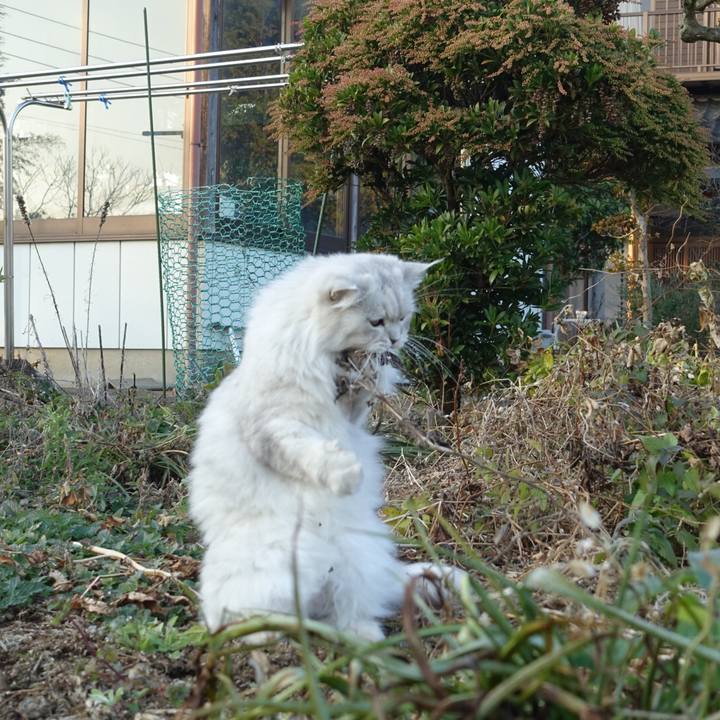 F015807e 3c07 4a41 bce2 1d7da84ccd76