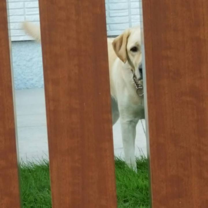 F0159a12 baef 4630 8e31 ec0bfc0d0098