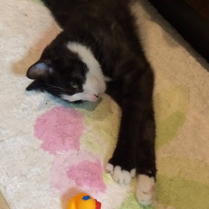 F015d26d 829a 4dbe b761 eff4a47bc088