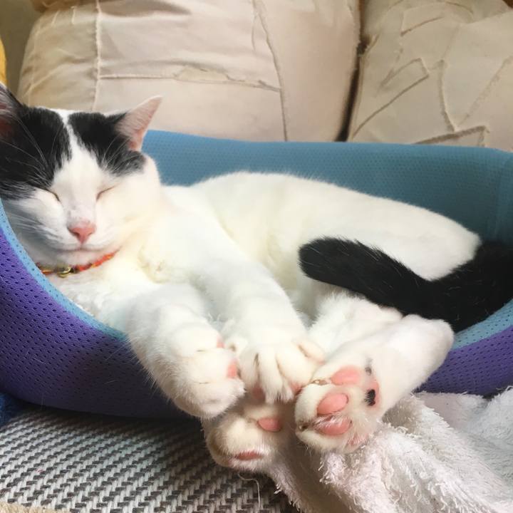 F015d6c1 d76b 4860 a692 dea9bb1d11ec