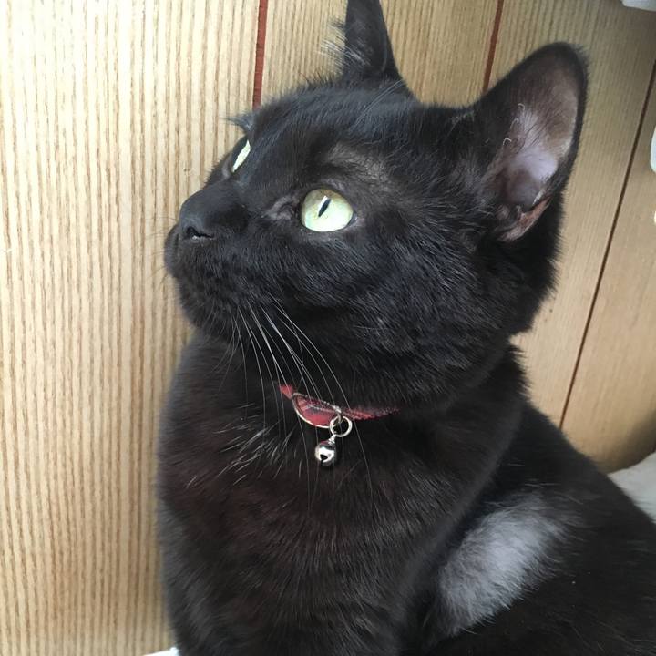 F0161b29 9518 4660 b03e faaf71eece5c