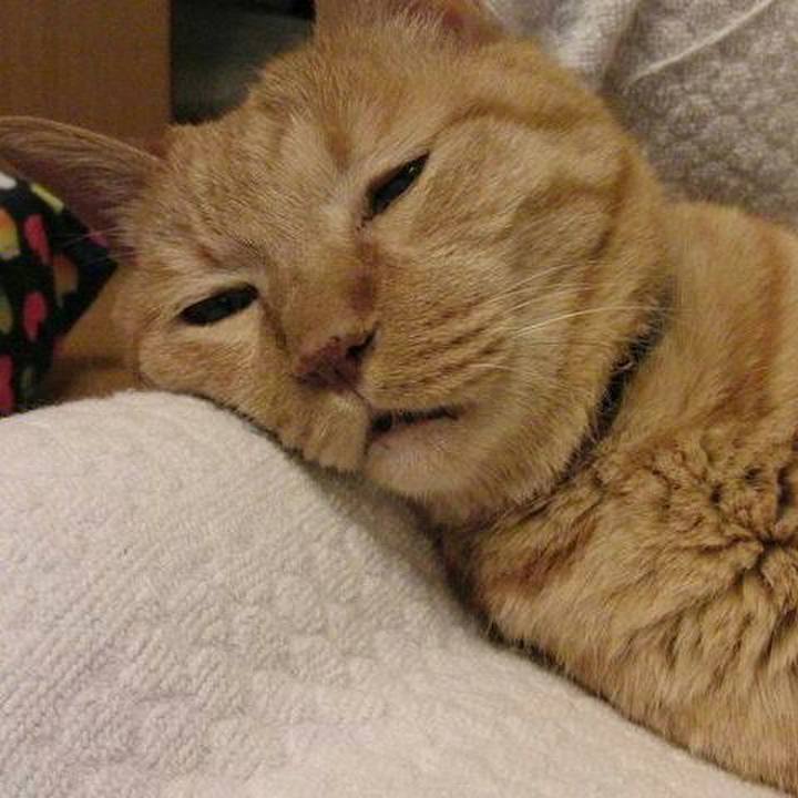 F0162af4 85be 49dd af32 af542d2bc2d0