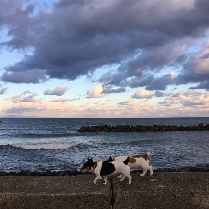 F016342e 82d6 4a0b 9d09 2f4d4293844b