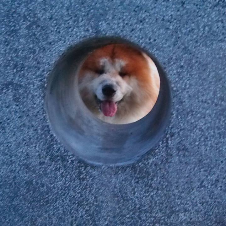 F016bb56 4857 4950 8d1e 965de63c2d68