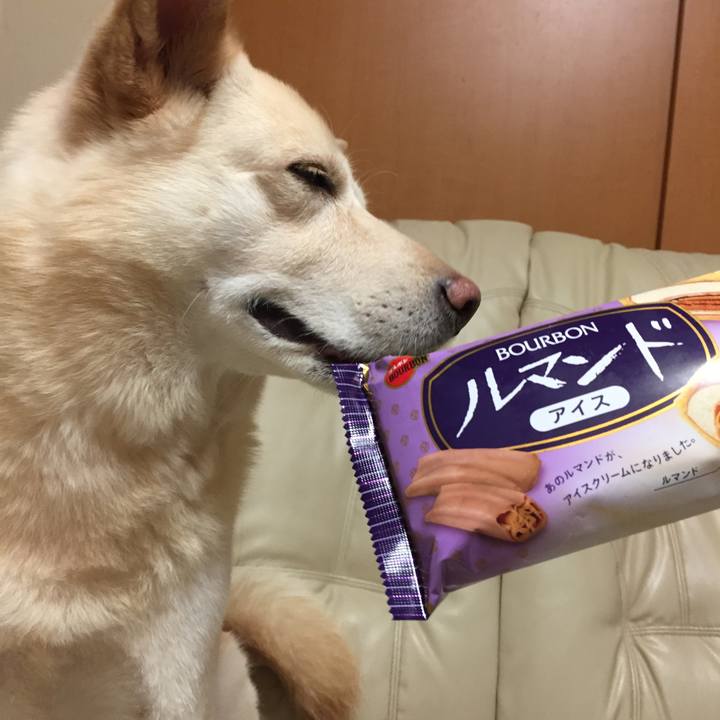 F016d957 e69d 41fa b3bf 0b23023d67eb