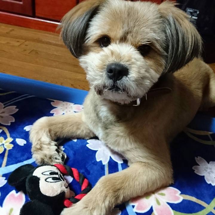 F016e664 f574 4121 988a 0d8262655b82