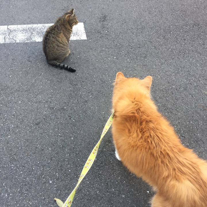 F017bf68 15e5 4cb3 99ff 9b0e60279b66