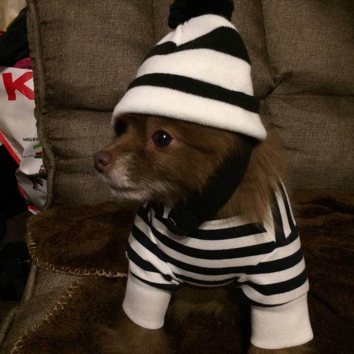 F017dff2 0a53 4aaf b2e0 4143c41f7828