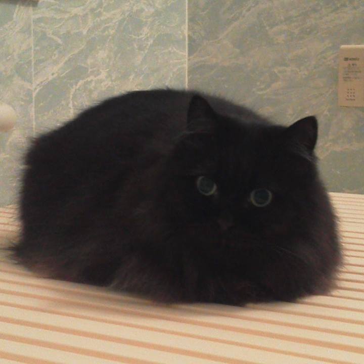 F017e6b3 f077 4a52 a4fd 022720d925c8