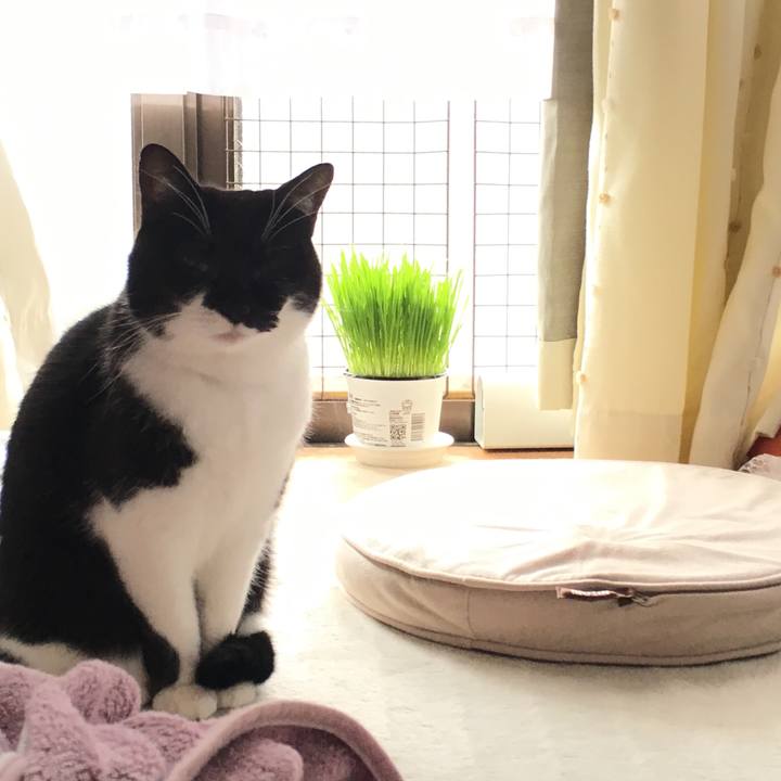 F01834d1 7660 41bd 9ad5 13287d91b896