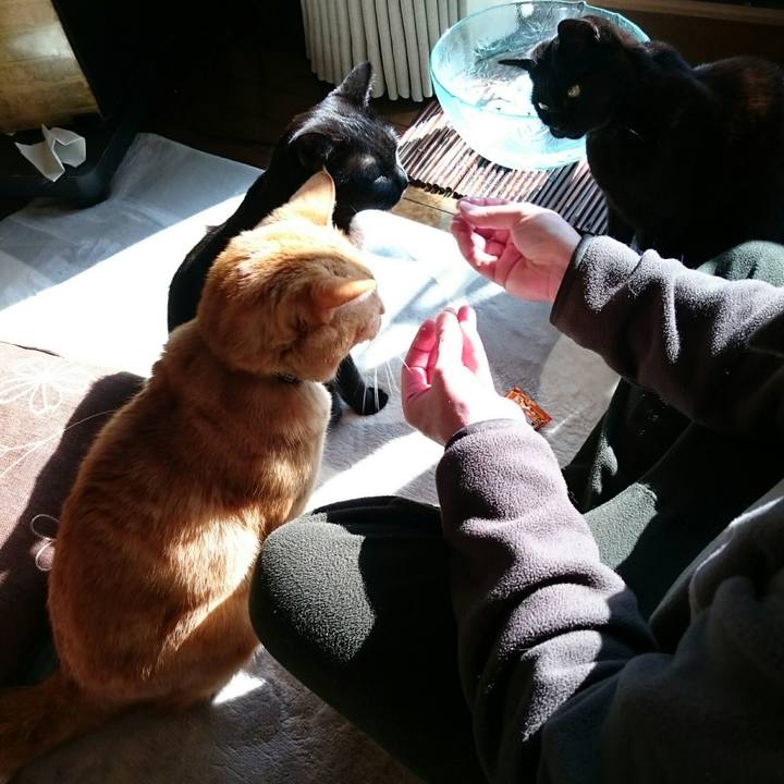 F01877f8 dc85 4a35 8567 3e7832ca3103