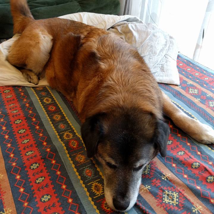 F0195c9c 10a3 4955 be1f 40c0e563f42a