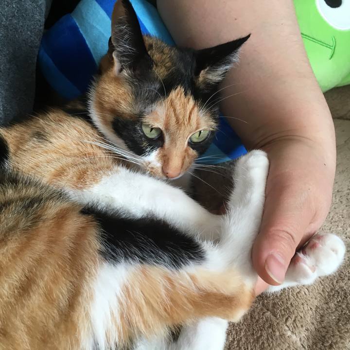 F0195d63 526b 4893 9058 5e30f017ec62