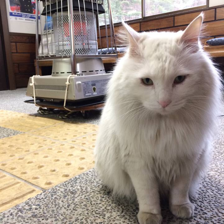 F0197324 5b01 41d4 9148 768dadb60cfd