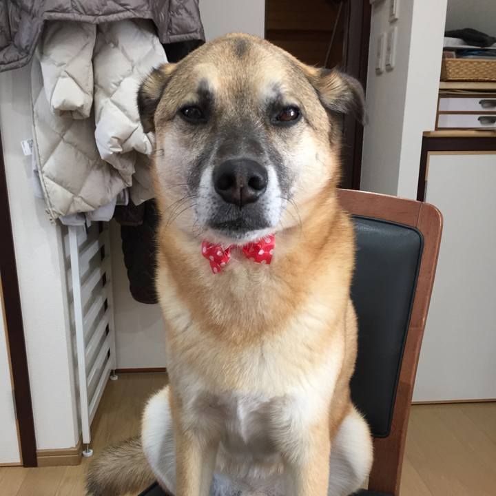 F01999e7 1967 4f9b b9fa 6bd69c96d2d0