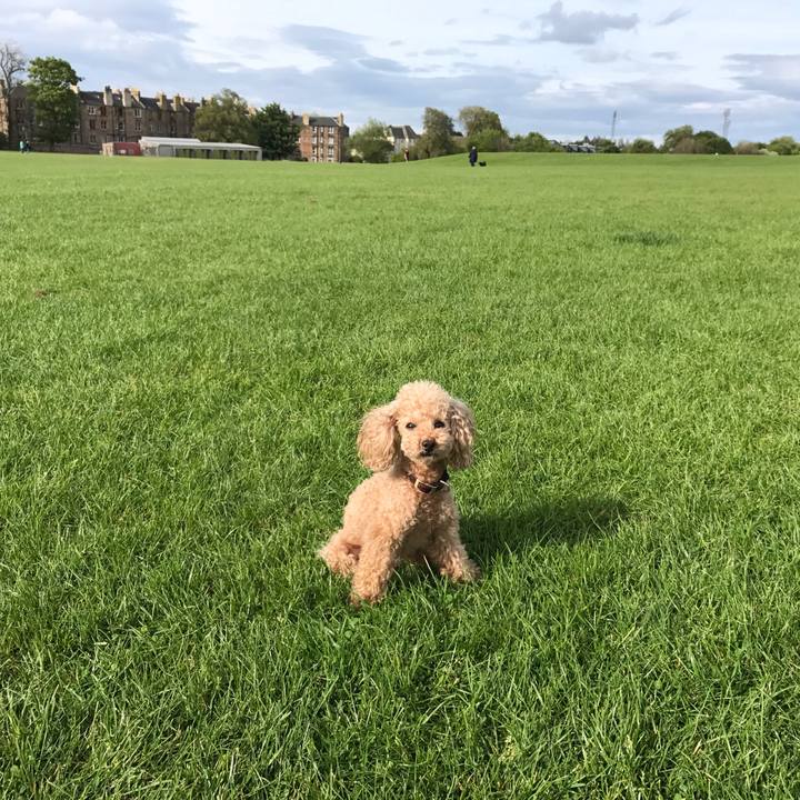 F019b546 13d9 45ae 86ad 78e22d2027ad