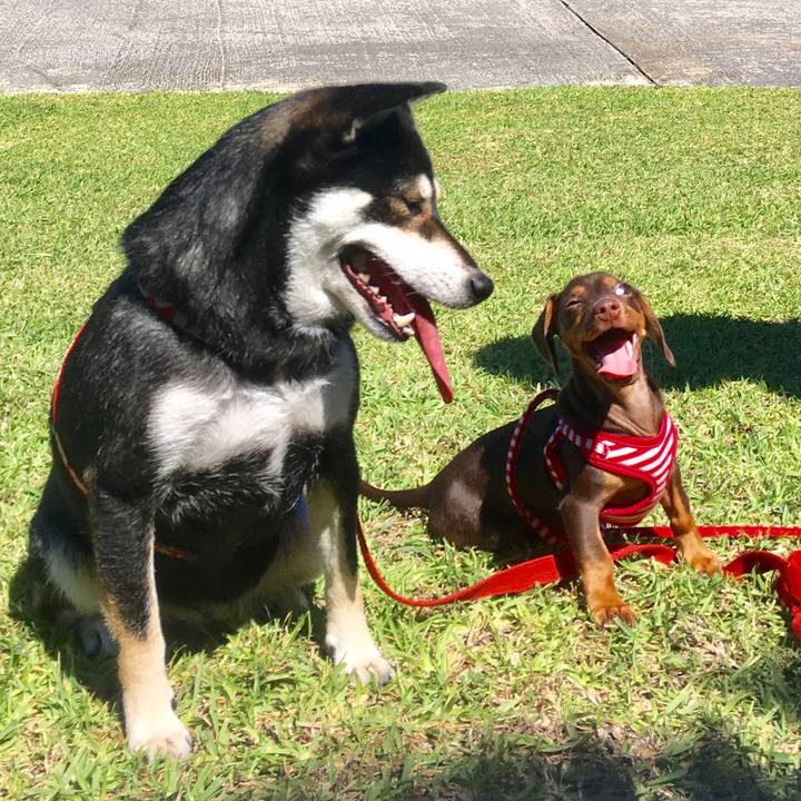 F019d86a 90b0 41cc ab75 b6af5c9212c8