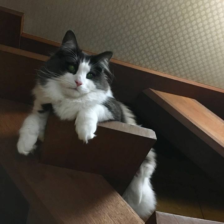 F01a04f8 d557 4d9f ad93 2266cfae706d