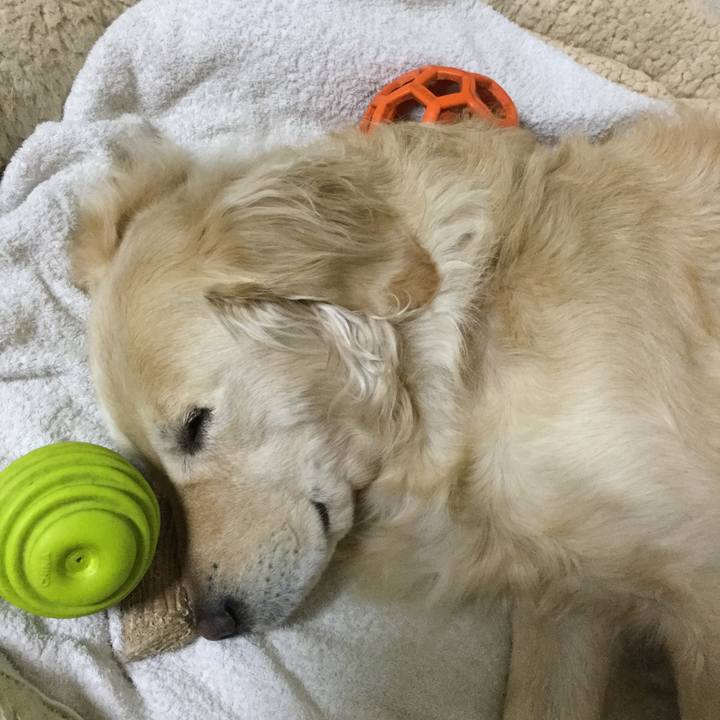 F01a427c fc90 4520 a0c0 2acea3ab48ae