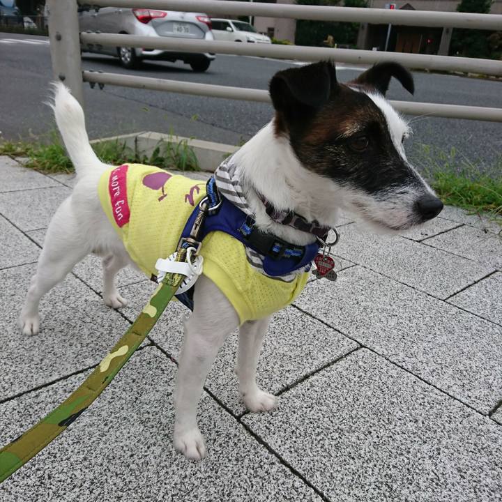 F01aa2f9 4d2e 460d a0c3 0a800cb165ce